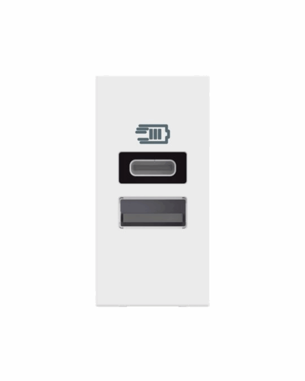 PRIZË KARIKUES USB 3A A/C